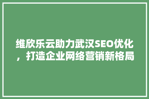 维欣乐云助力武汉SEO优化，打造企业网络营销新格局
