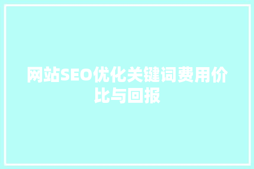 网站SEO优化关键词费用价比与回报