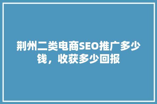 荆州二类电商SEO推广多少钱，收获多少回报