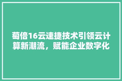 萄倍16云速捷技术引领云计算新潮流，赋能企业数字化转型