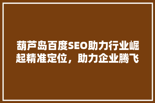 葫芦岛百度SEO助力行业崛起精准定位，助力企业腾飞