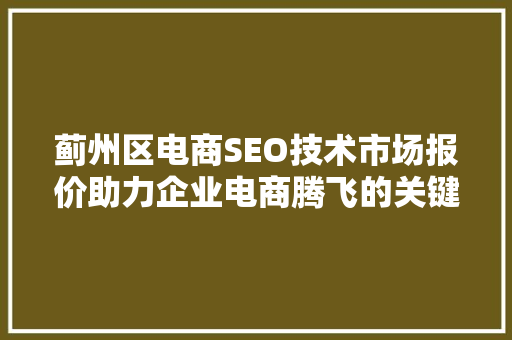 蓟州区电商SEO技术市场报价助力企业电商腾飞的关键步骤