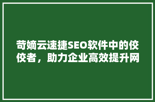 苛嫡云速捷SEO软件中的佼佼者，助力企业高效提升网站排名