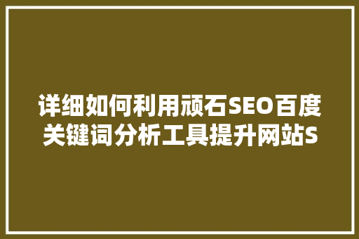 详细如何利用顽石SEO百度关键词分析工具提升网站SEO优化效果