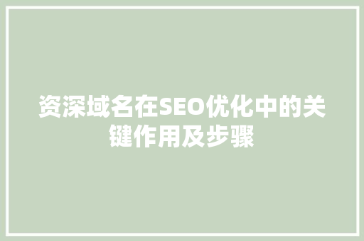 资深域名在SEO优化中的关键作用及步骤