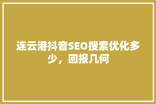连云港抖音SEO搜索优化多少，回报几何