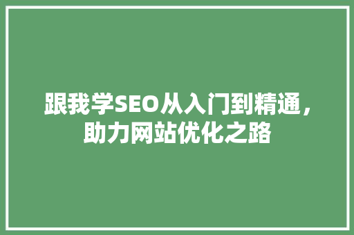 跟我学SEO从入门到精通，助力网站优化之路