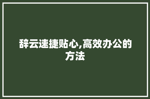 辞云速捷贴心,高效办公的方法