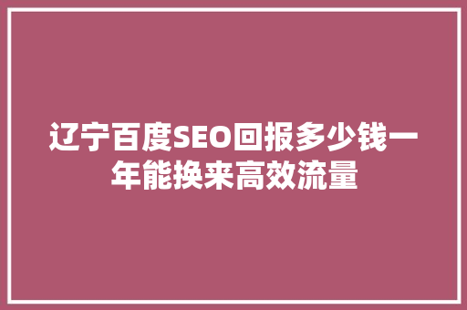 辽宁百度SEO回报多少钱一年能换来高效流量