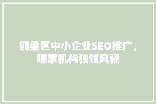 铜梁区中小企业SEO推广，哪家机构独领风骚