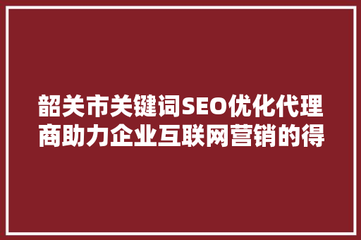 韶关市关键词SEO优化代理商助力企业互联网营销的得力助手