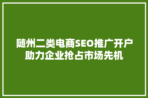 随州二类电商SEO推广开户助力企业抢占市场先机