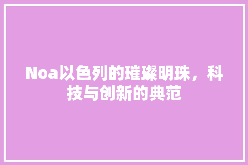 Noa以色列的璀璨明珠，科技与创新的典范