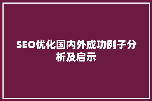 SEO优化国内外成功例子分析及启示