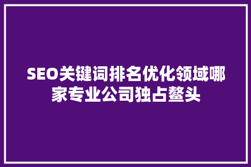 SEO关键词排名优化领域哪家专业公司独占鳌头