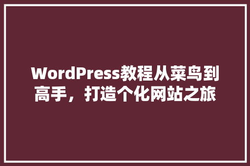 WordPress教程从菜鸟到高手，打造个化网站之旅