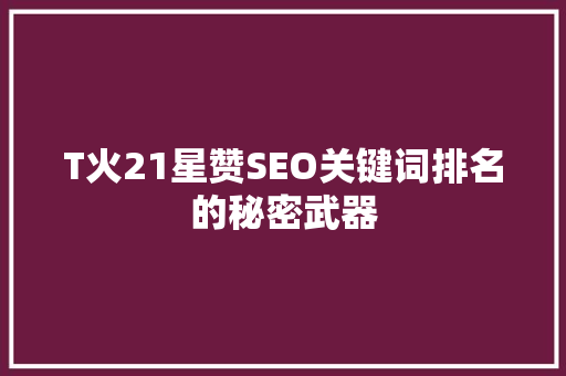 T火21星赞SEO关键词排名的秘密武器
