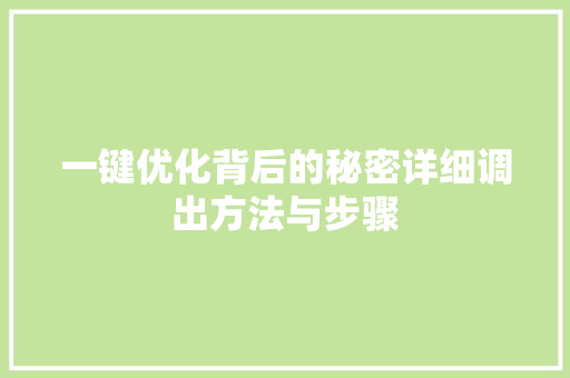 一键优化背后的秘密详细调出方法与步骤