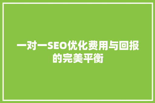 一对一SEO优化费用与回报的完美平衡
