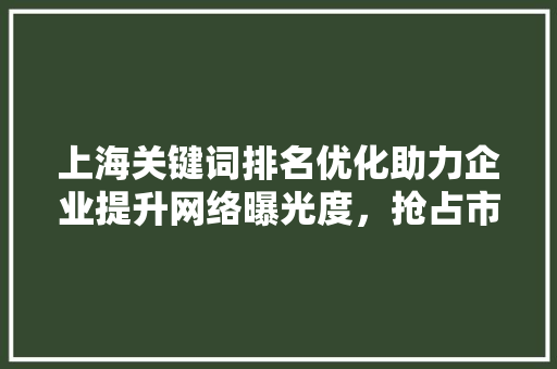 上海关键词排名优化助力企业提升网络曝光度，抢占市场先机