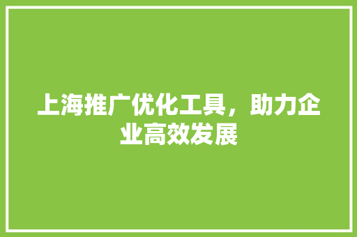 上海推广优化工具，助力企业高效发展