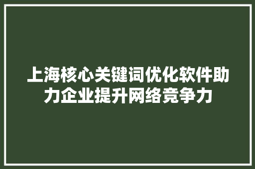 上海核心关键词优化软件助力企业提升网络竞争力