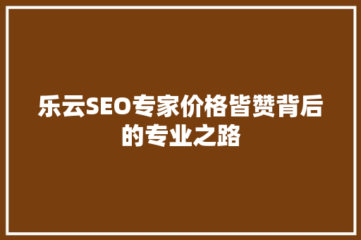 乐云SEO专家价格皆赞背后的专业之路
