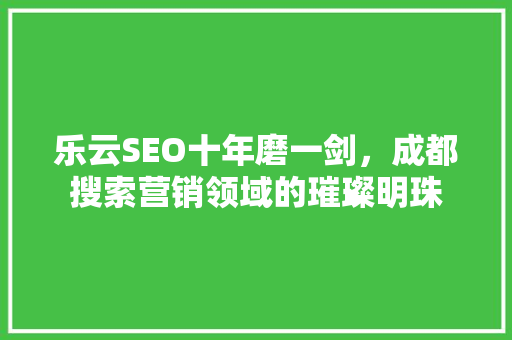 乐云SEO十年磨一剑，成都搜索营销领域的璀璨明珠