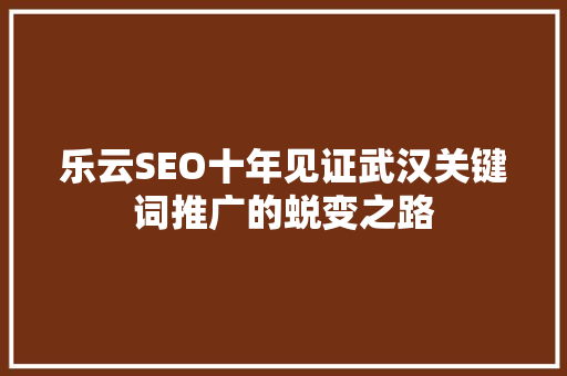 乐云SEO十年见证武汉关键词推广的蜕变之路