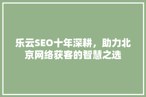 乐云SEO十年深耕，助力北京网络获客的智慧之选
