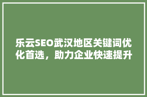 乐云SEO武汉地区关键词优化首选，助力企业快速提升网络知名度
