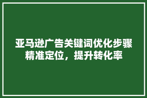 亚马逊广告关键词优化步骤精准定位，提升转化率