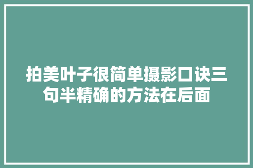 拍美叶子很简单摄影口诀三句半精确的方法在后面