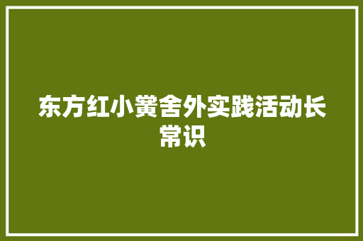 东方红小黉舍外实践活动长常识