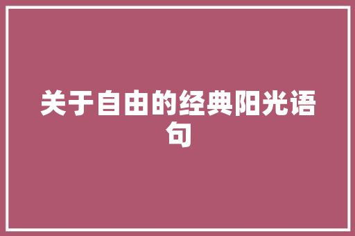 ai插画软件怎么画这三个软件轻松搞定