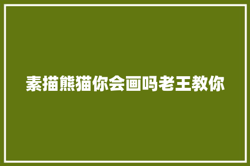 素描熊猫你会画吗老王教你