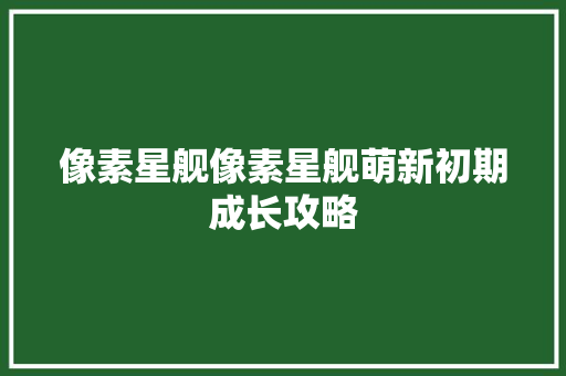 像素星舰像素星舰萌新初期成长攻略