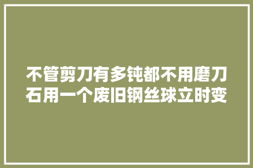 不管剪刀有多钝都不用磨刀石用一个废旧钢丝球立时变锋利