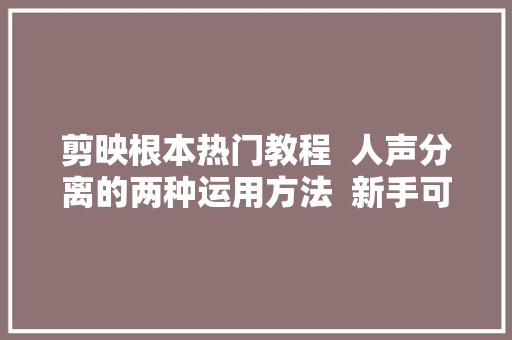 剪映根本热门教程  人声分离的两种运用方法  新手可学