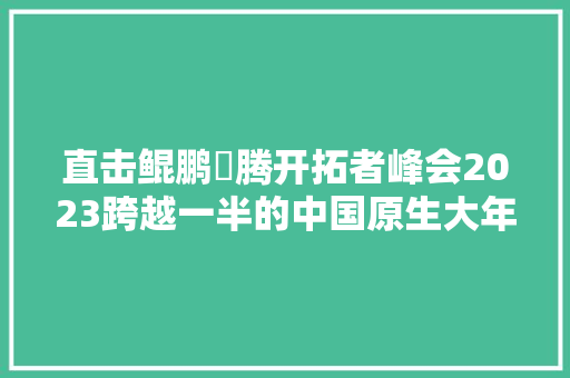 直击鲲鹏昇腾开拓者峰会2023跨越一半的中国原生大年夜模型基于昇腾AI孵化