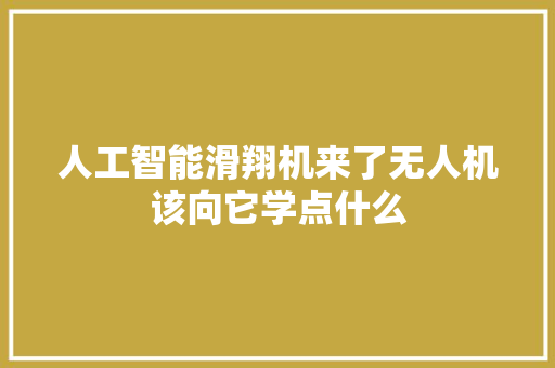 人工智能滑翔机来了无人机该向它学点什么