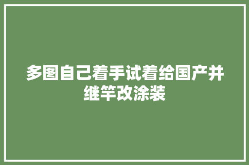 多图自己着手试着给国产并继竿改涂装