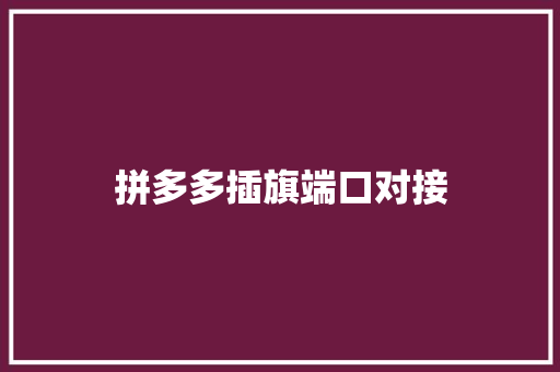 拼多多插旗端口对接