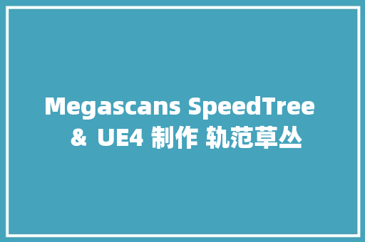 Megascans SpeedTree ＆ UE4 制作 轨范草丛