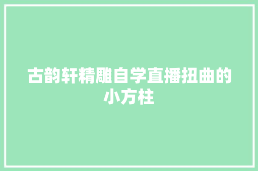 古韵轩精雕自学直播扭曲的小方柱