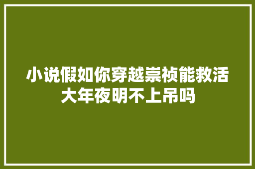 小说假如你穿越崇祯能救活大年夜明不上吊吗