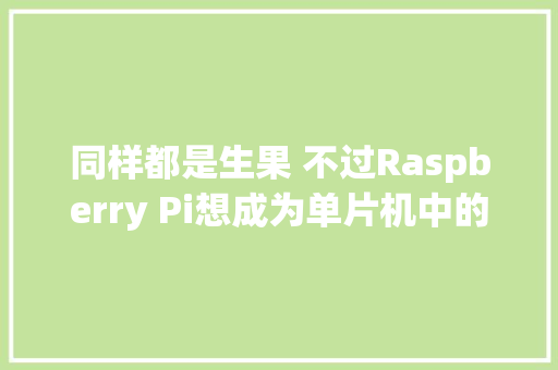 同样都是生果 不过Raspberry Pi想成为单片机中的小苹果