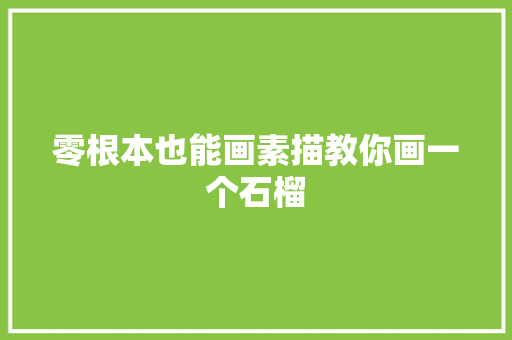 零根本也能画素描教你画一个石榴