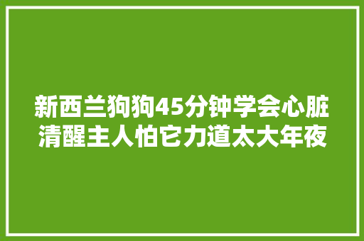 新西兰狗狗45分钟学会心脏清醒主人怕它力道太大年夜头下会垫一本书