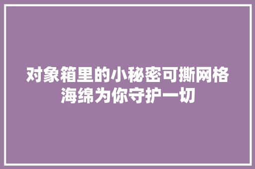 对象箱里的小秘密可撕网格海绵为你守护一切